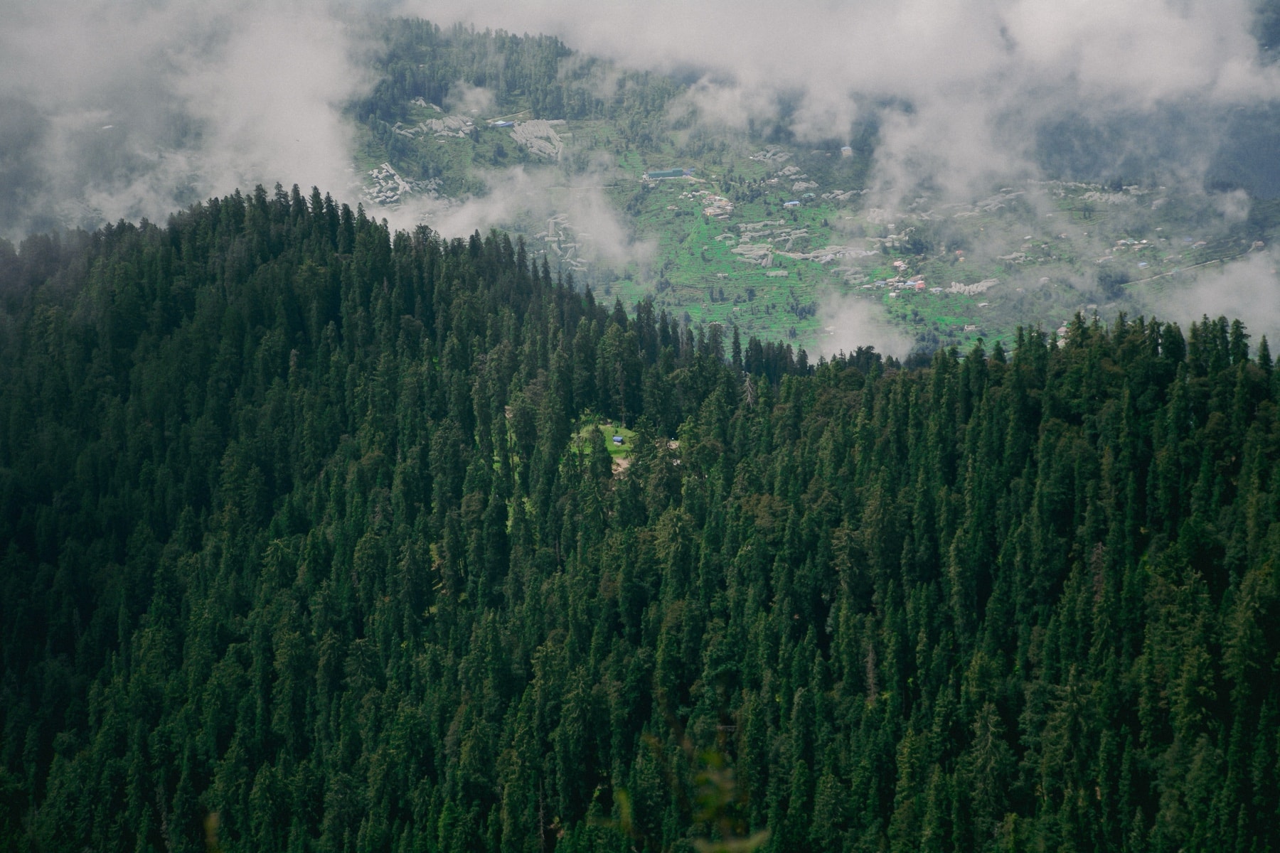Mist over a dense Indian hill forest